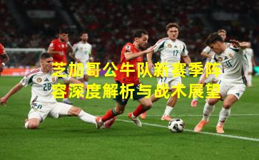 芝加哥公牛队新赛季阵容深度解析与战术展望