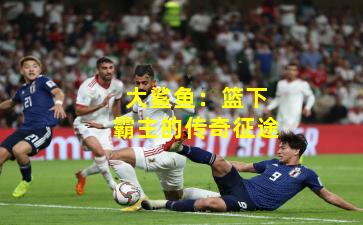 大鲨鱼：篮下霸主的传奇征途