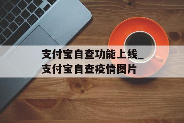 支付宝自查功能上线_支付宝自查疫情图片